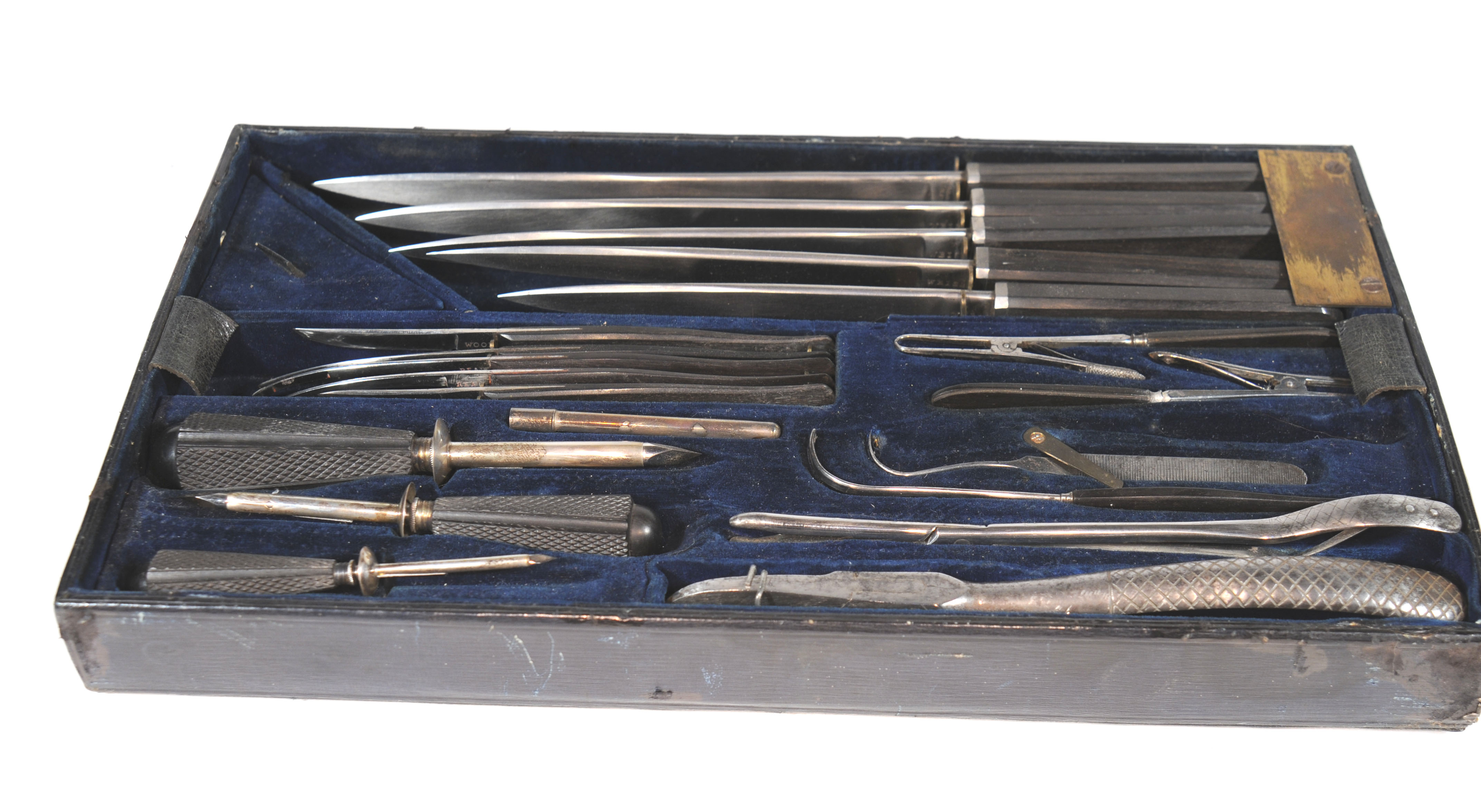 Enlarged image for image #2