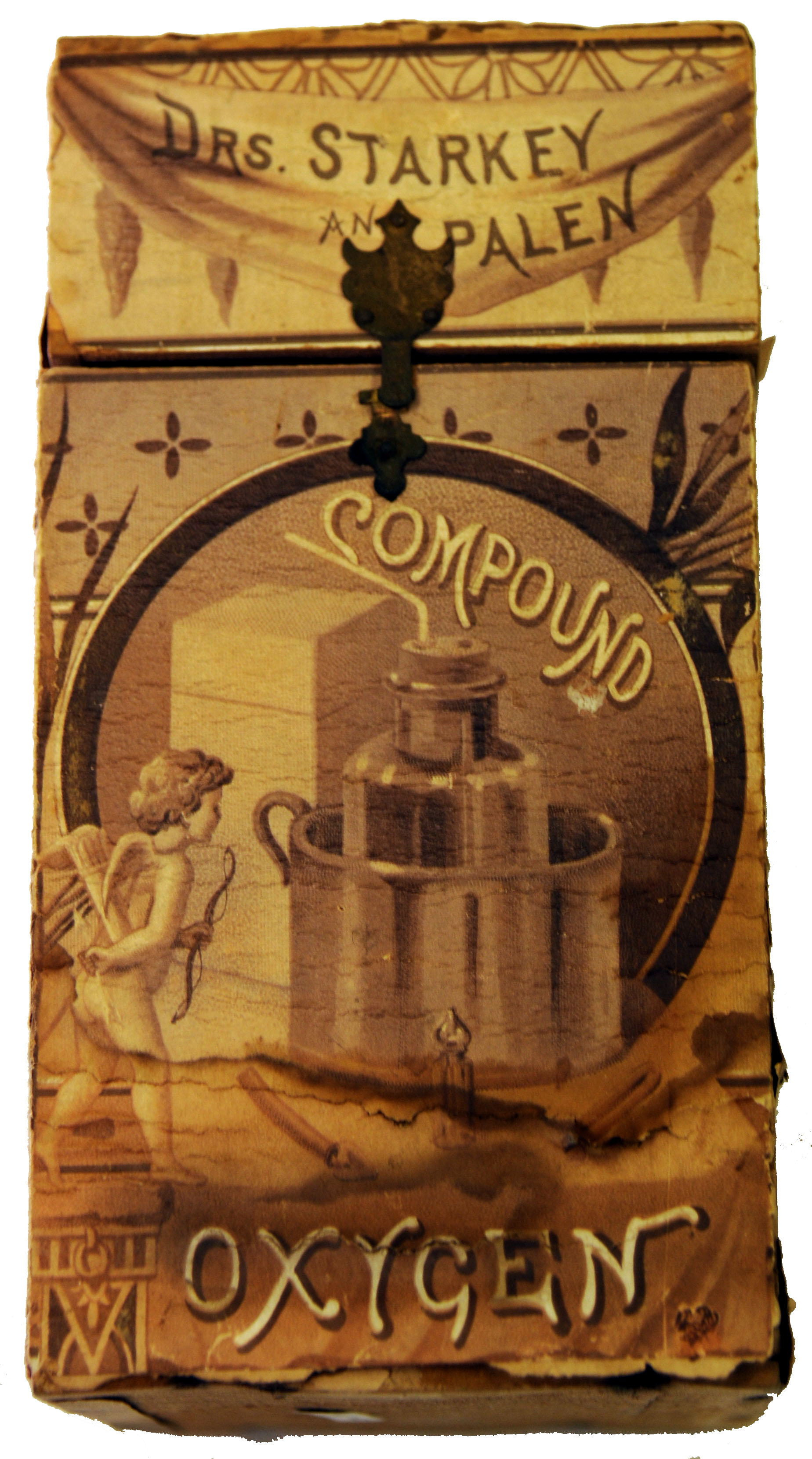 Enlarged image for image #2