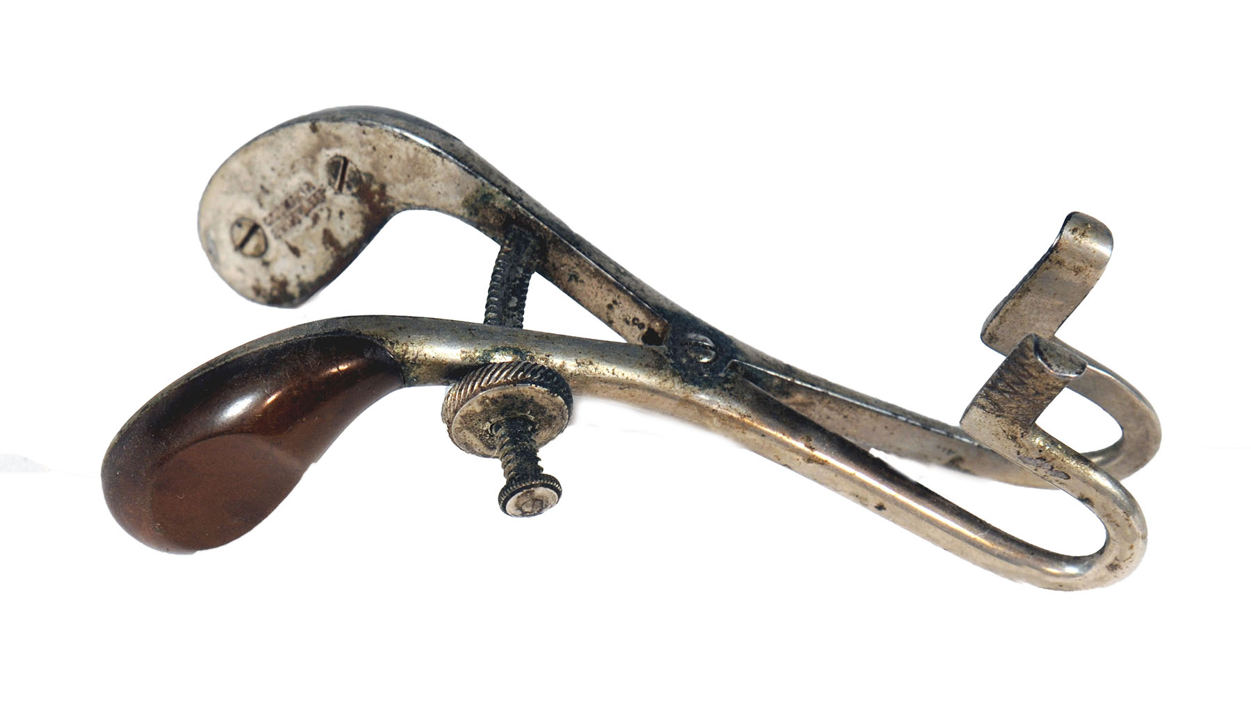 Enlarged image for image #1