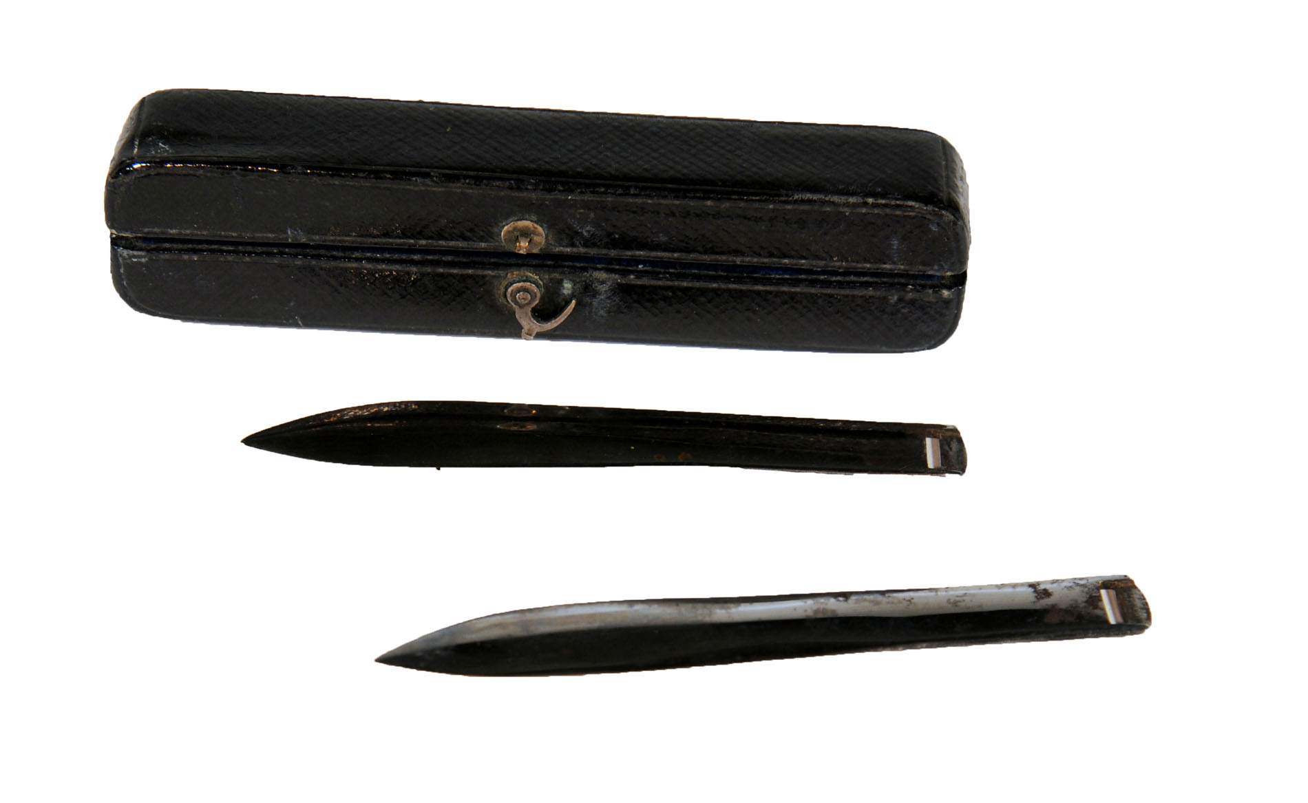 Enlarged image for image #1