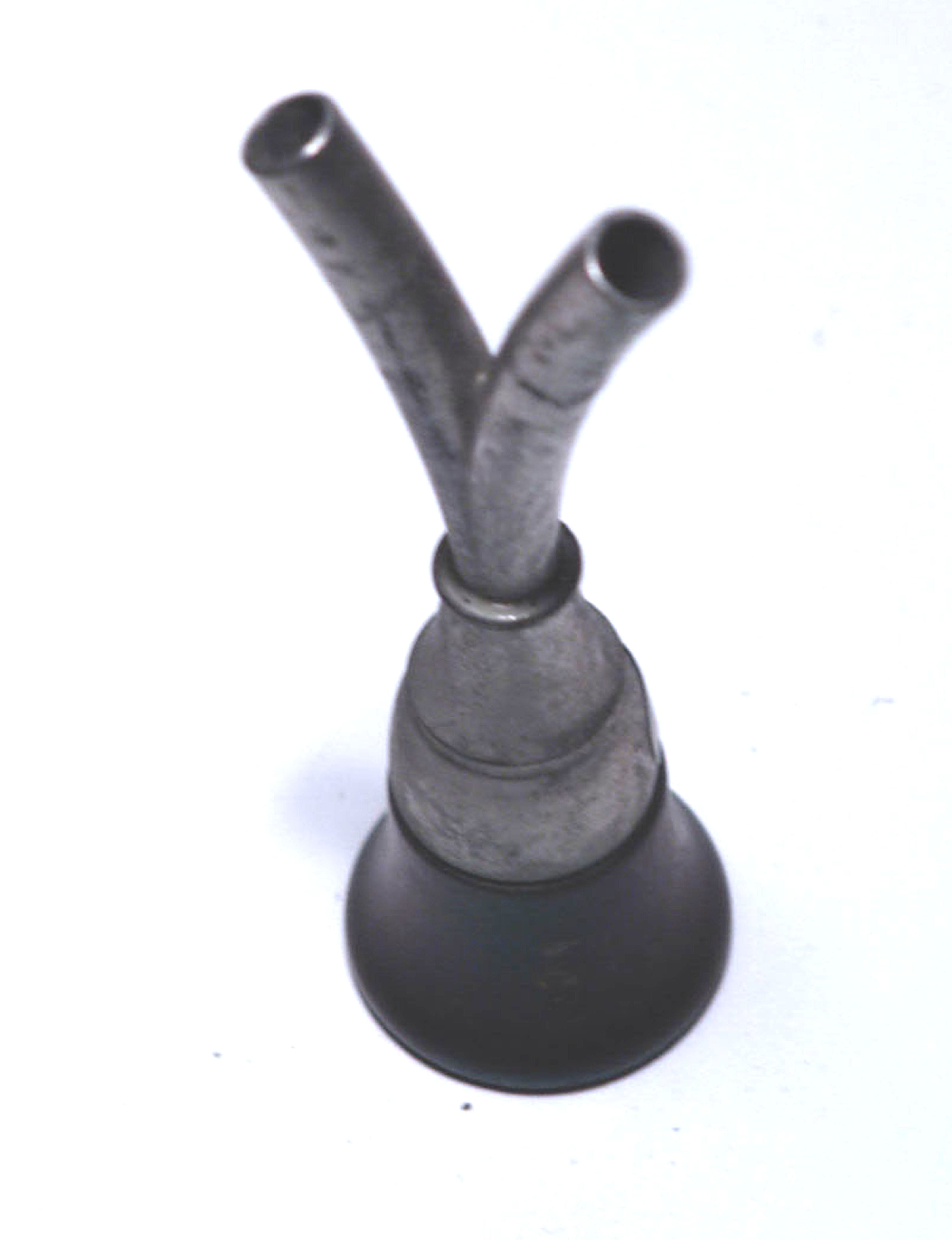 Enlarged image for image #1