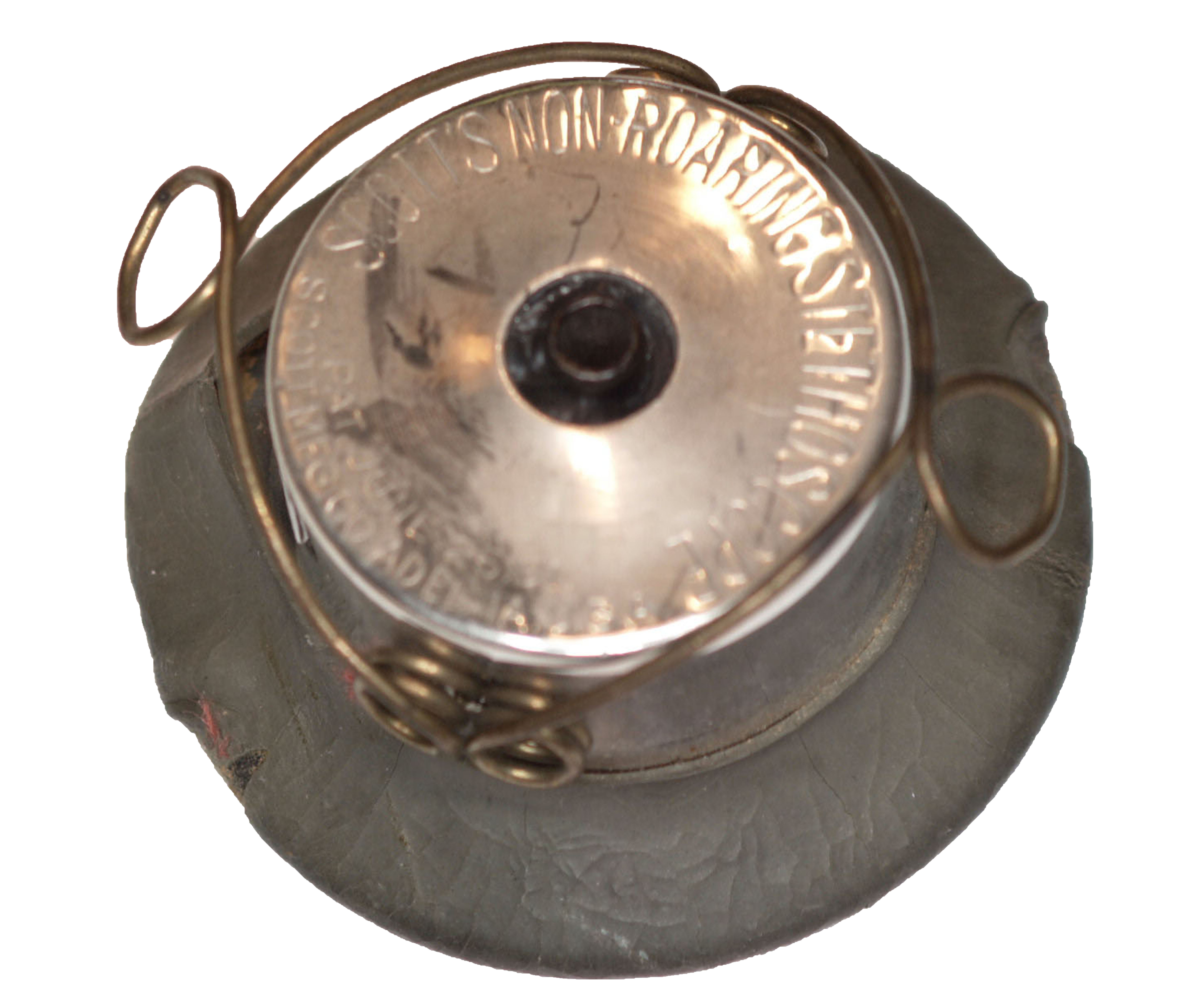 Enlarged image for image #1