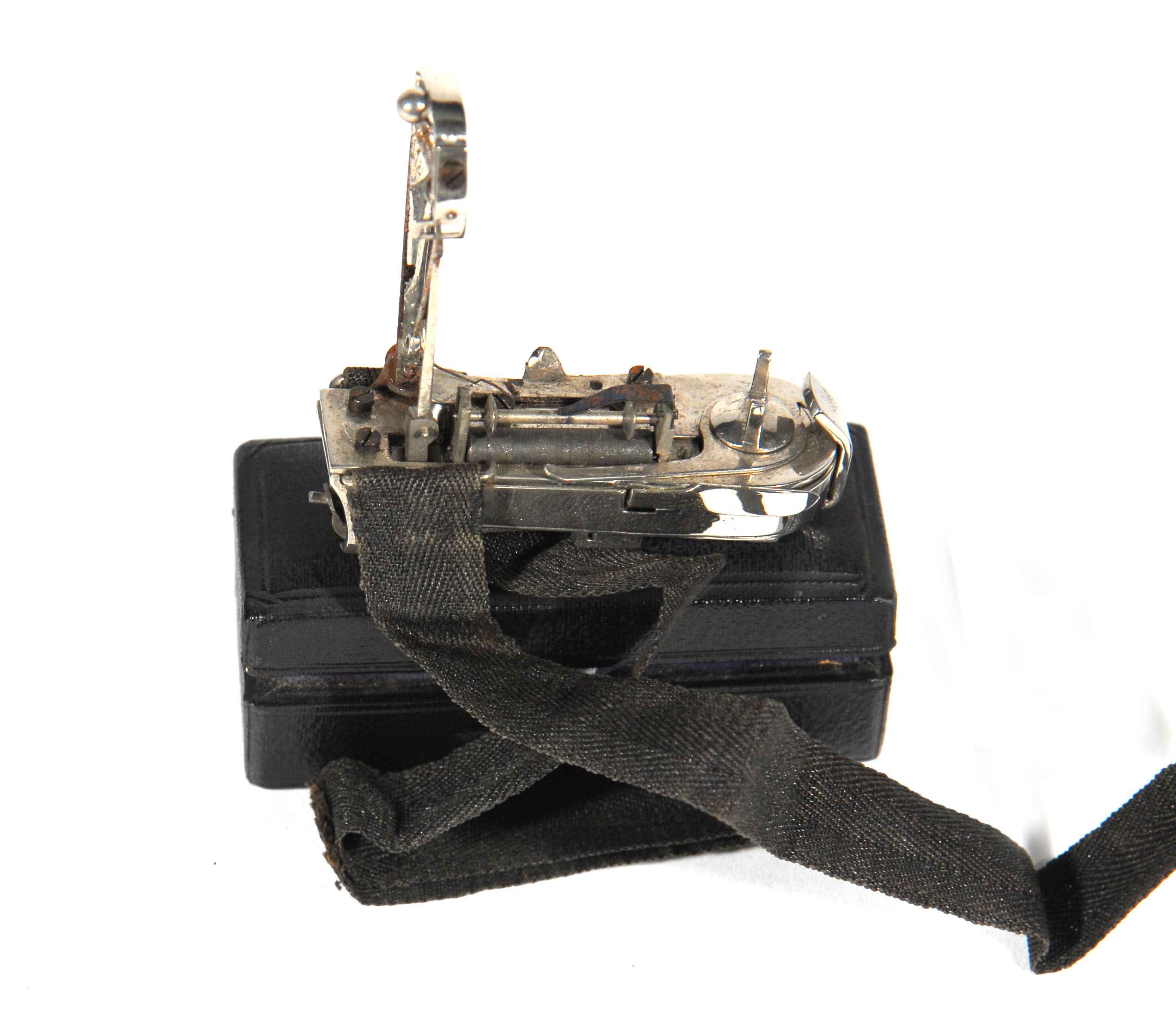 Enlarged image for image #2