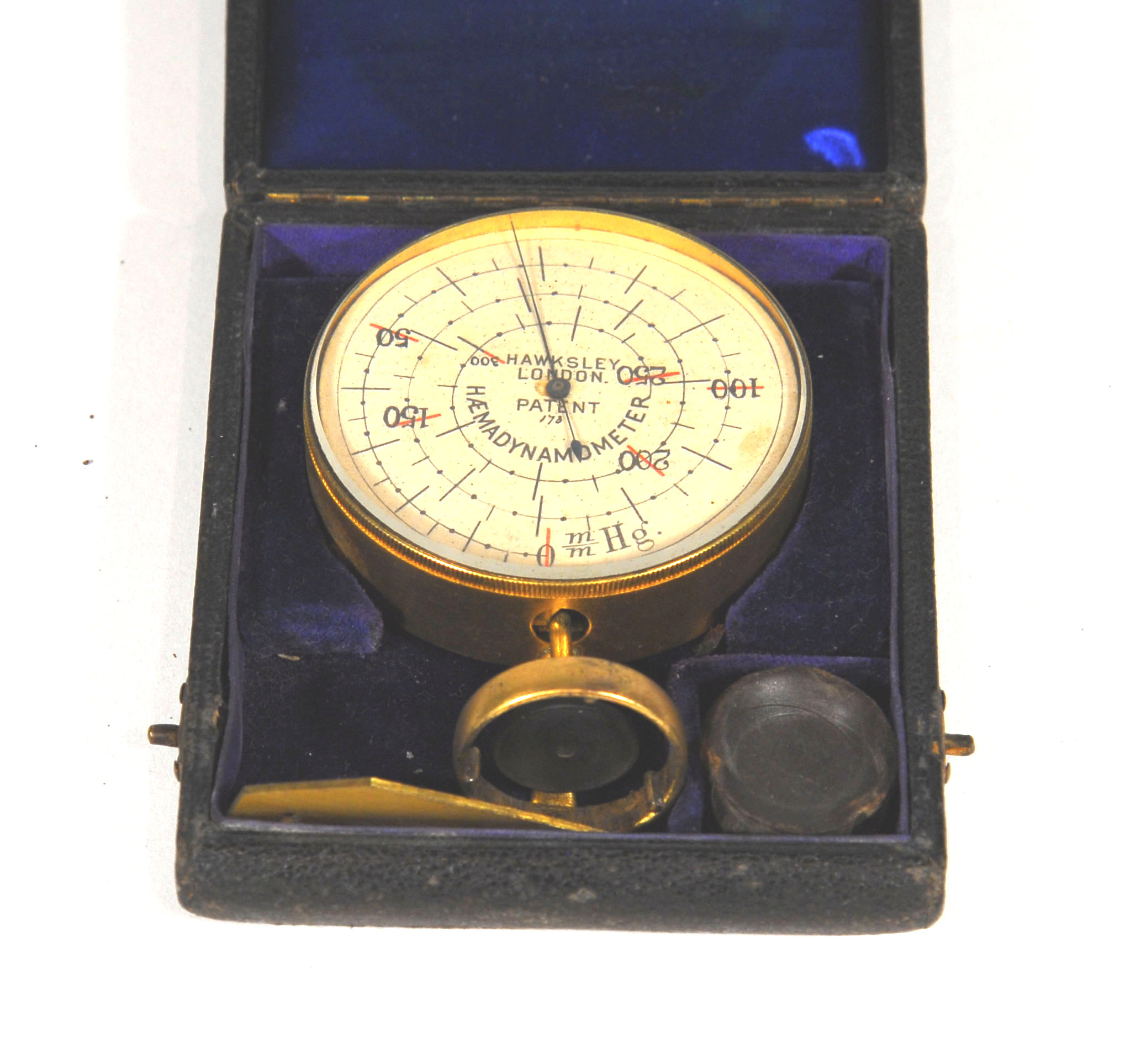 Enlarged image for image #1