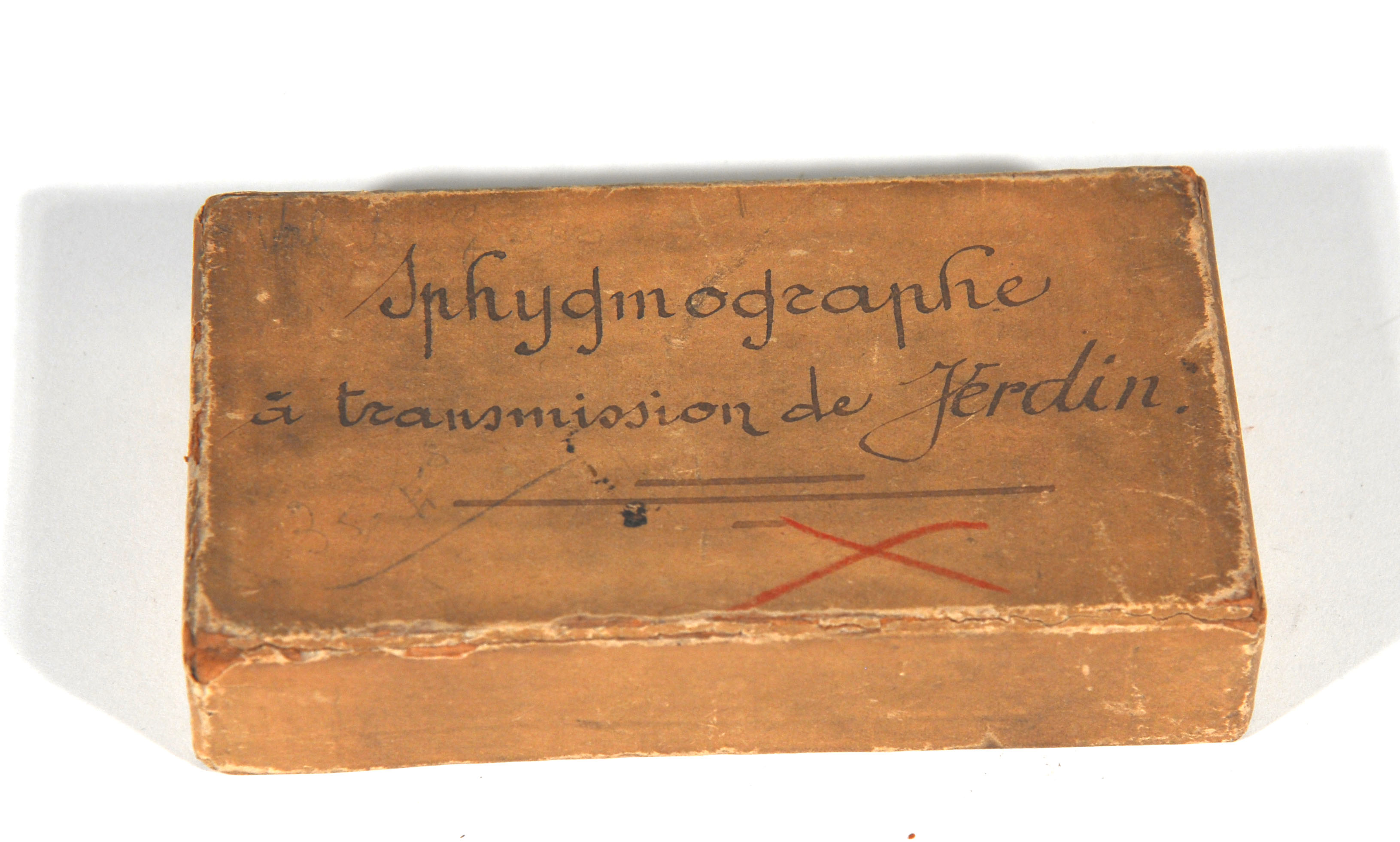 Enlarged image for image #2