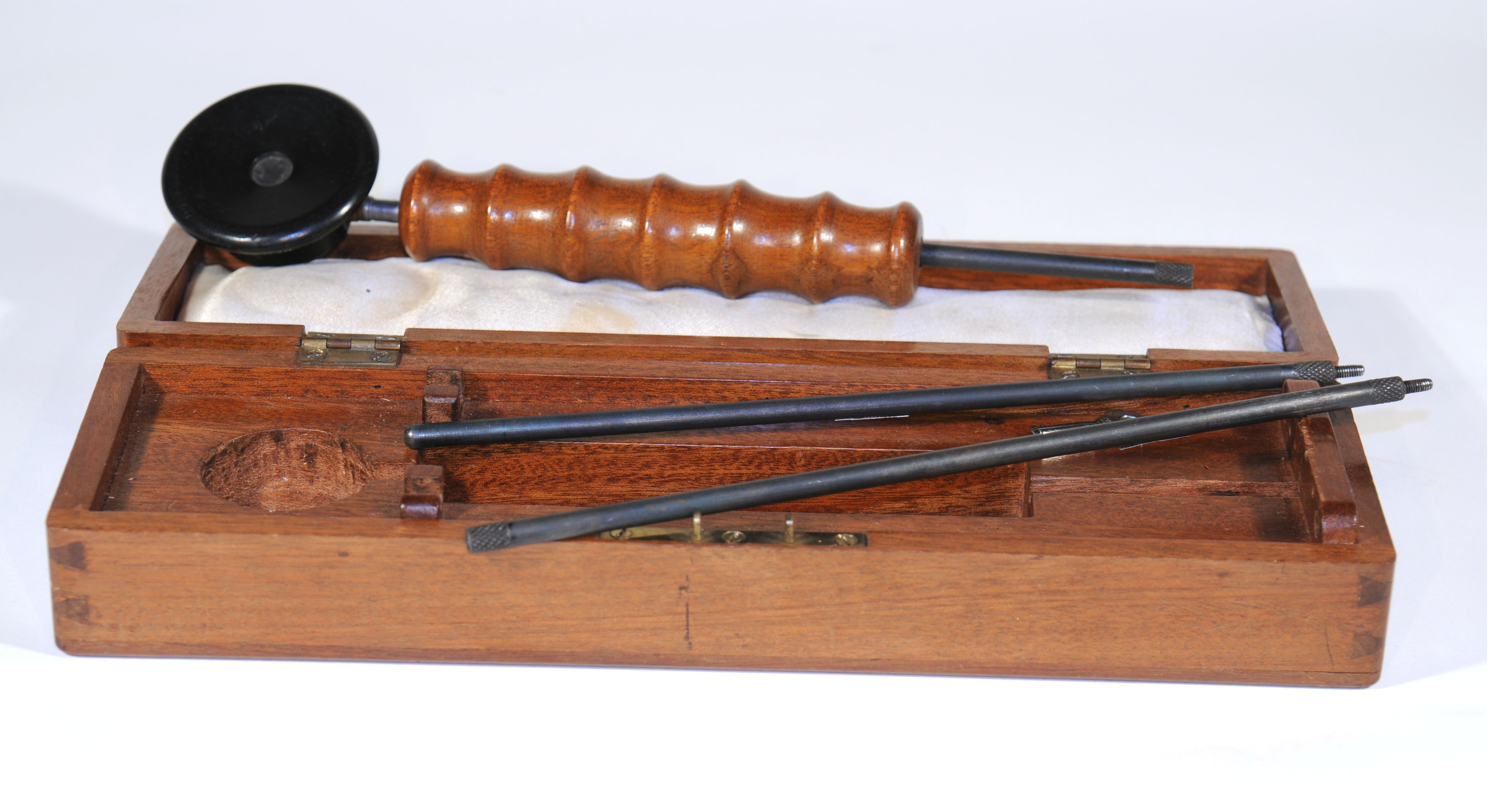 Enlarged image for image #1