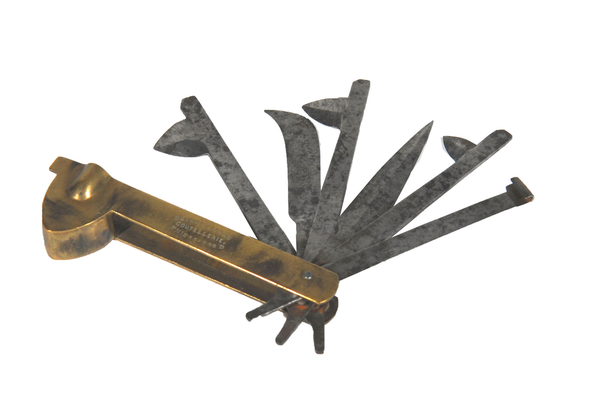 Enlarged image for image #1