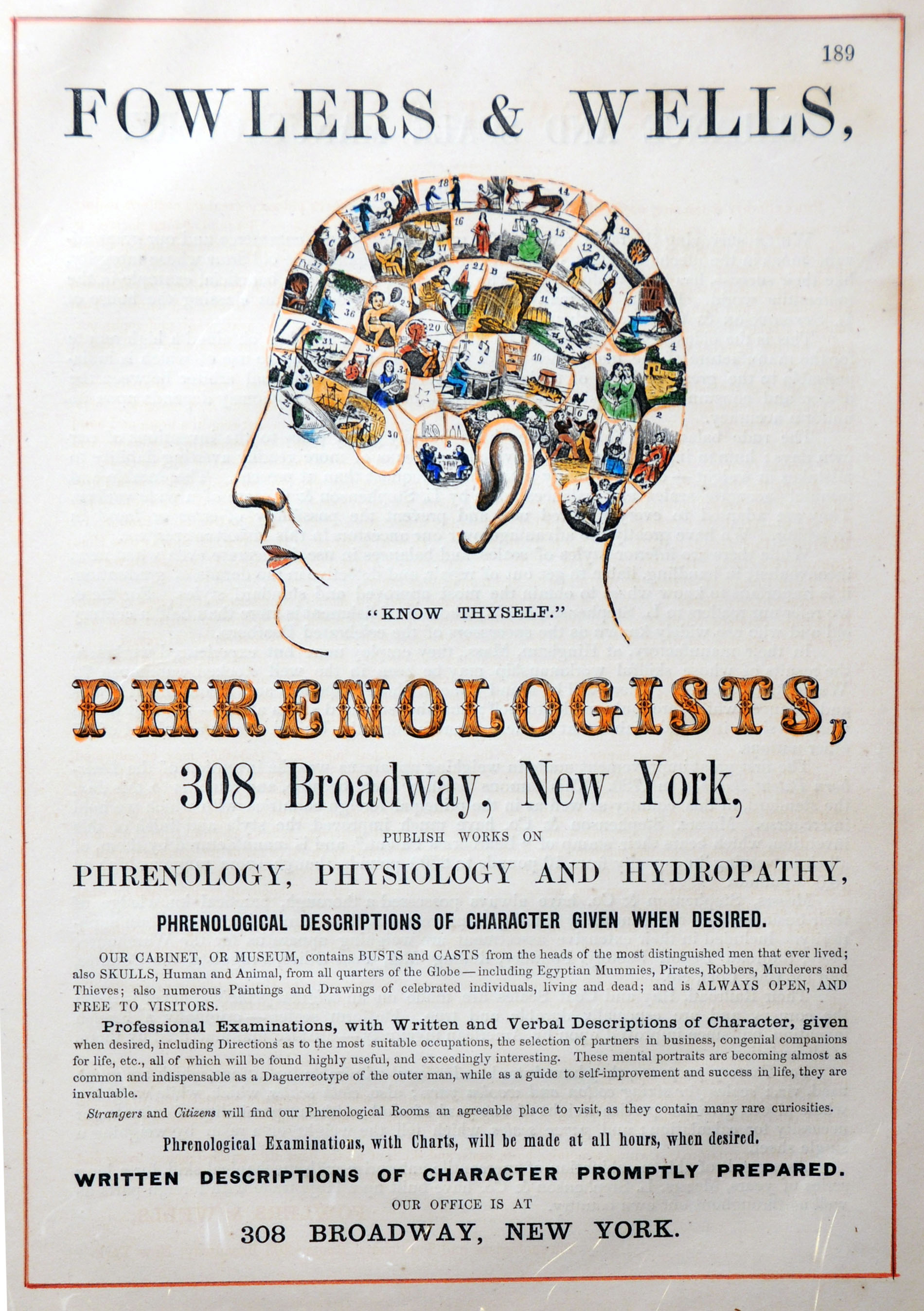 Enlarged image for image #1