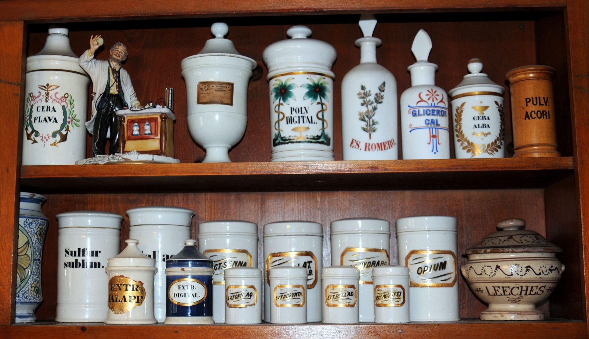 Magnified image for image #2