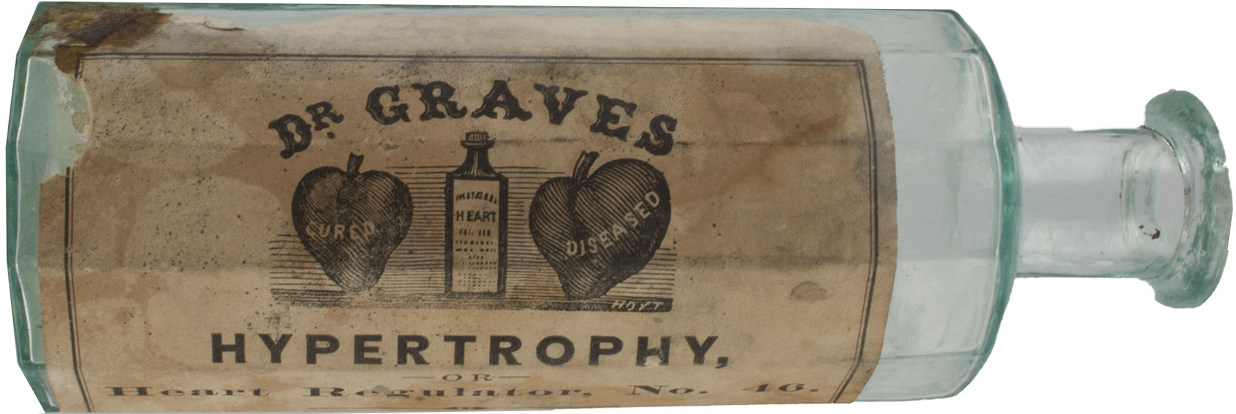 Magnified image for image #2