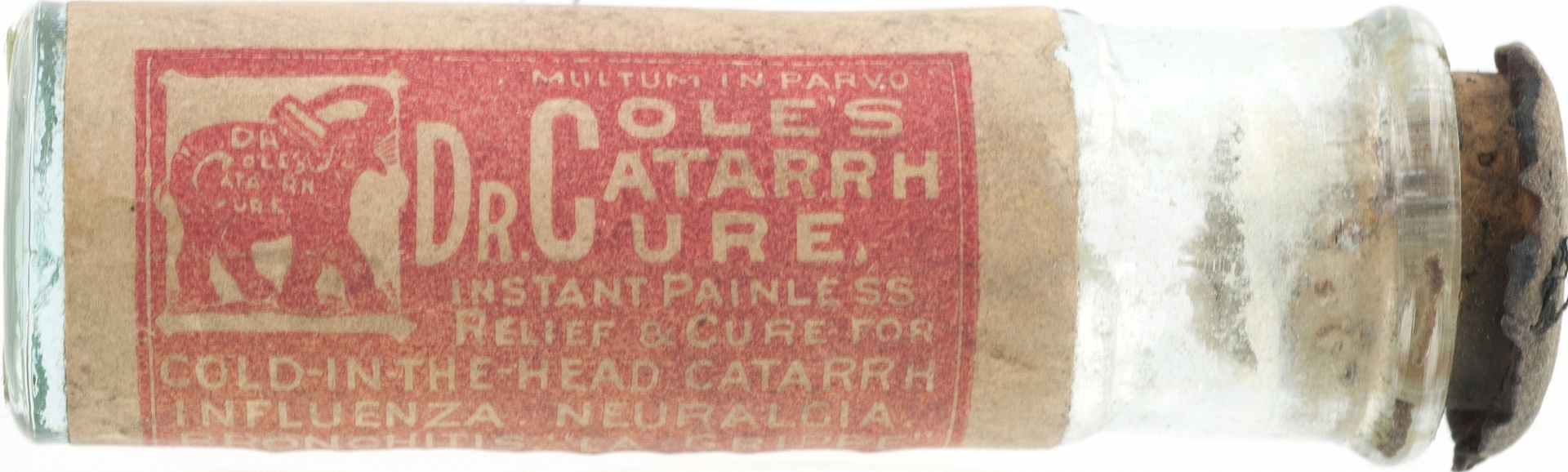 Magnified image for image #1