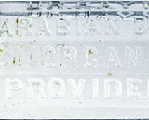 Photo of Dr. Haynes Arabian Balsam (dr-haynes-arabian-balsam)