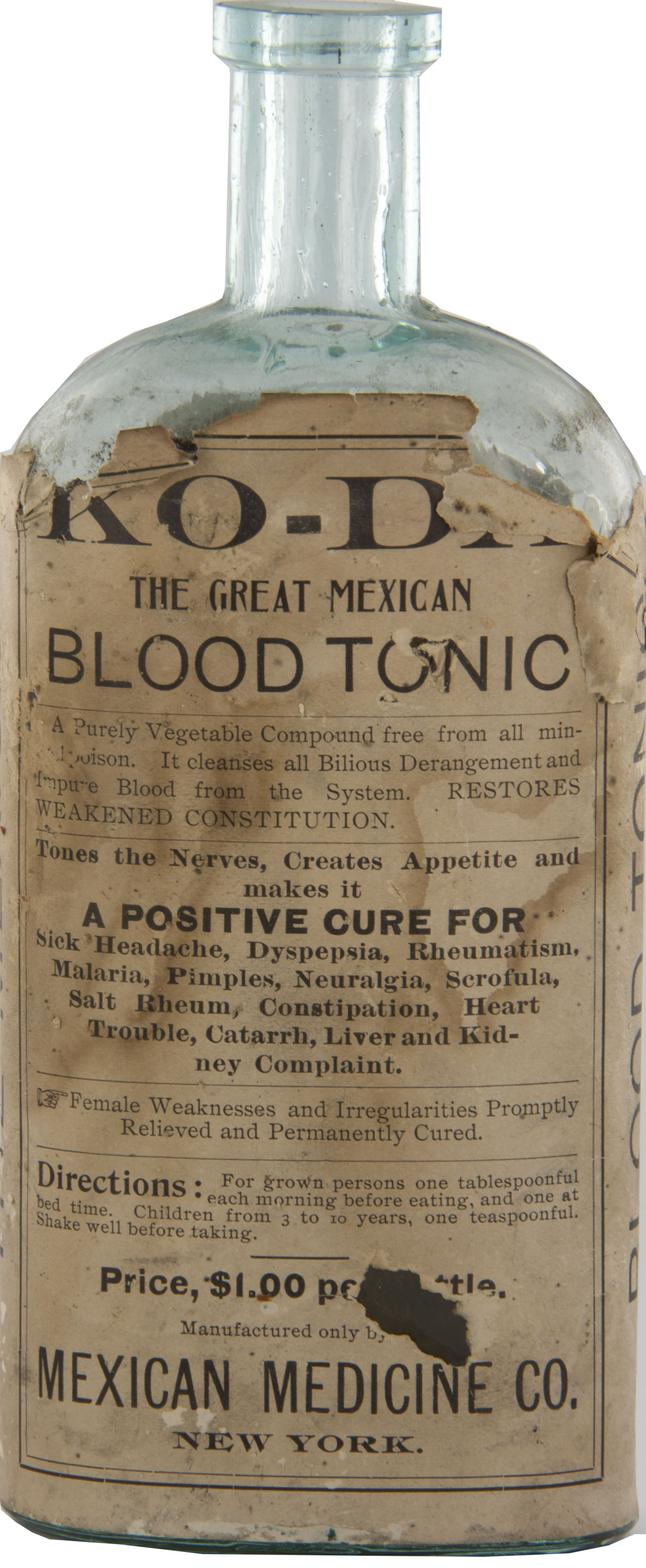 Magnified image for image #1