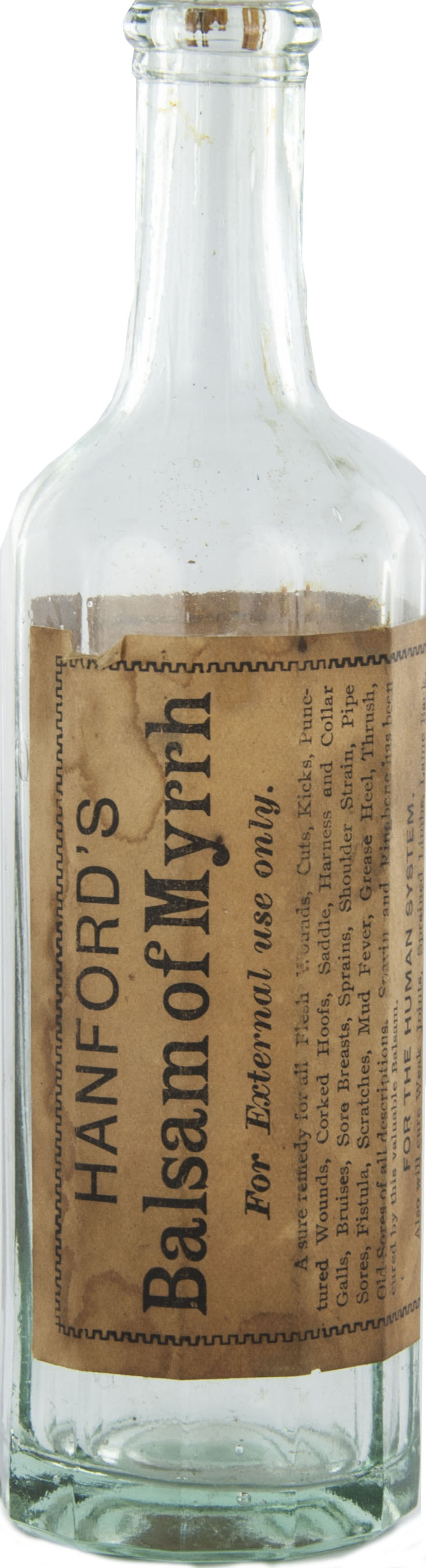 Magnified image for image #2