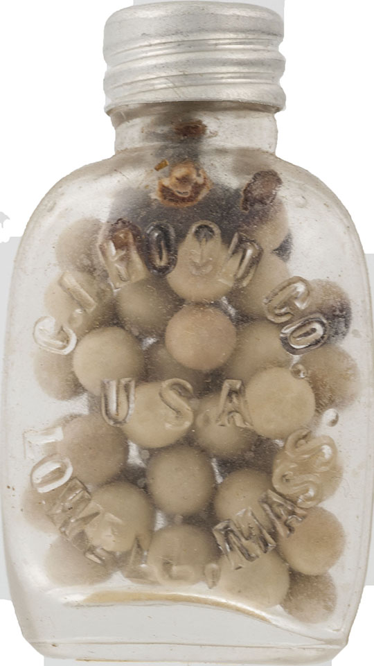 Magnified image for image #6