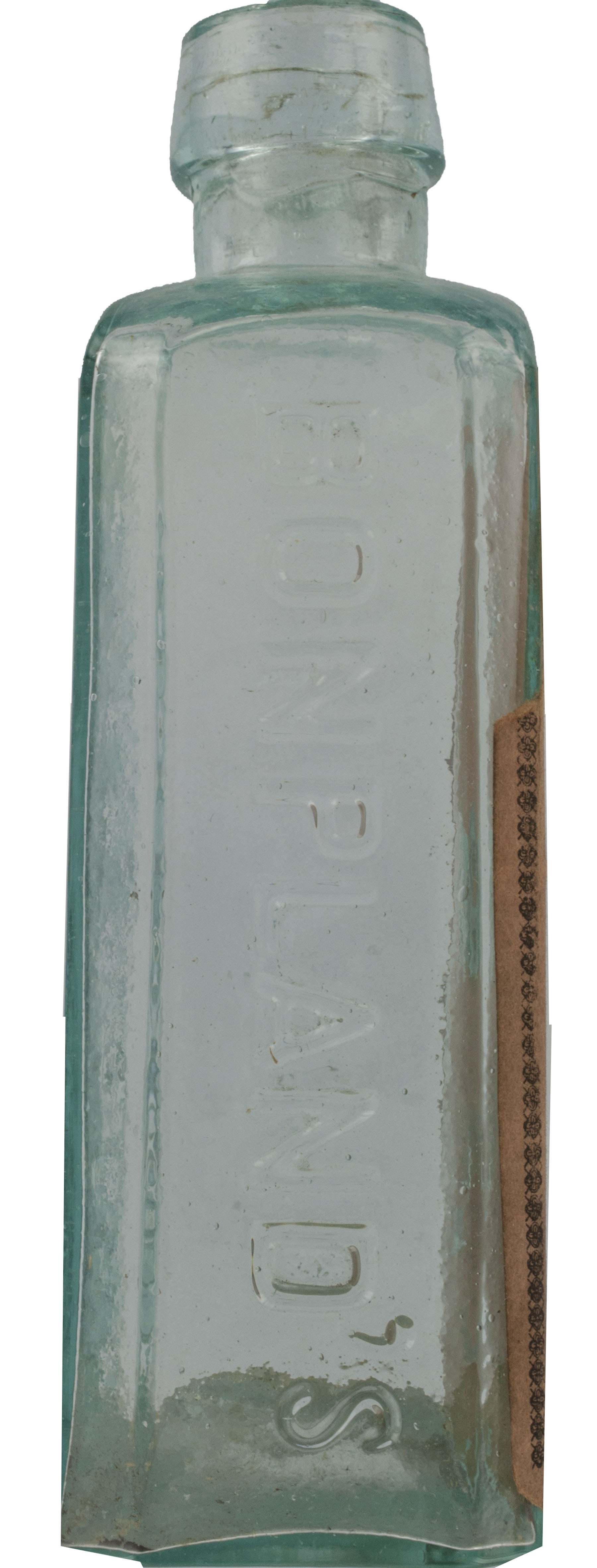 Magnified image for image #3