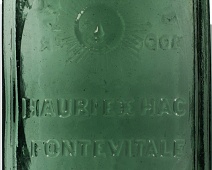 Photo of Iodine Water, NY, 1855 Dr H Anders/W.Fosdick/Hauries & Fontevitale (iodine-water-ny-1855-dr-h-anders-wfosdick-hauries-fontevitale)