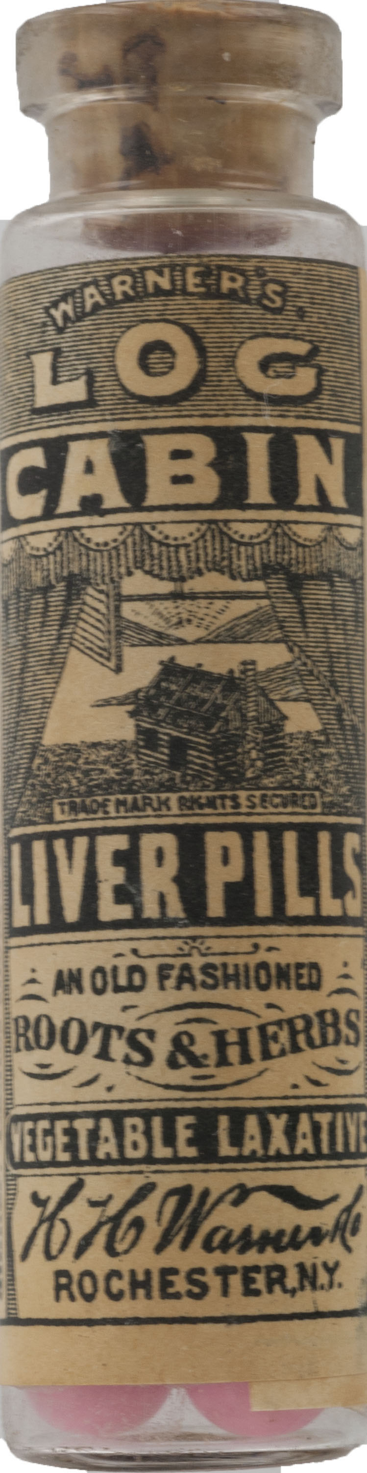 Magnified image for image #3