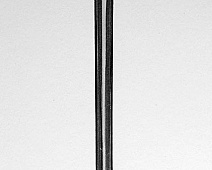 Photo of Blackwell’s (stethoscope_drawing___dsc_0894jpg)