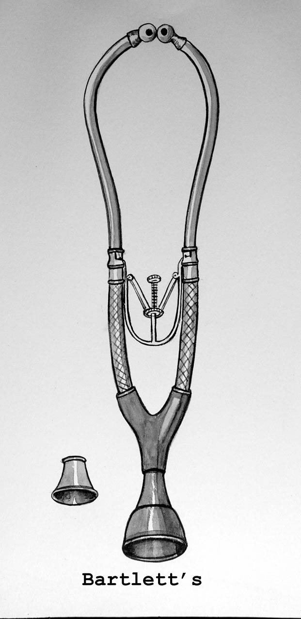 Magnified image for image #1