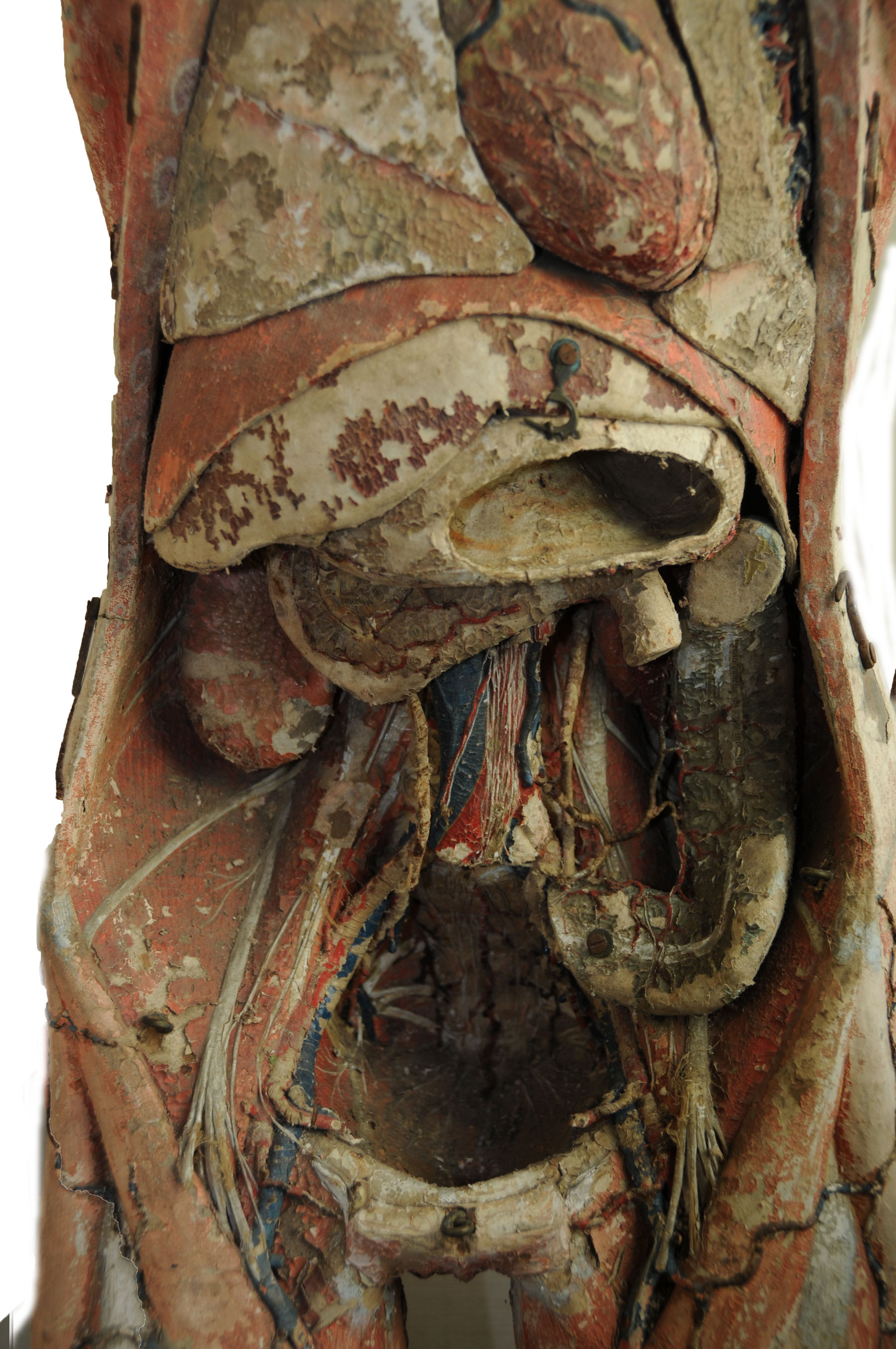 Magnified image for image #11