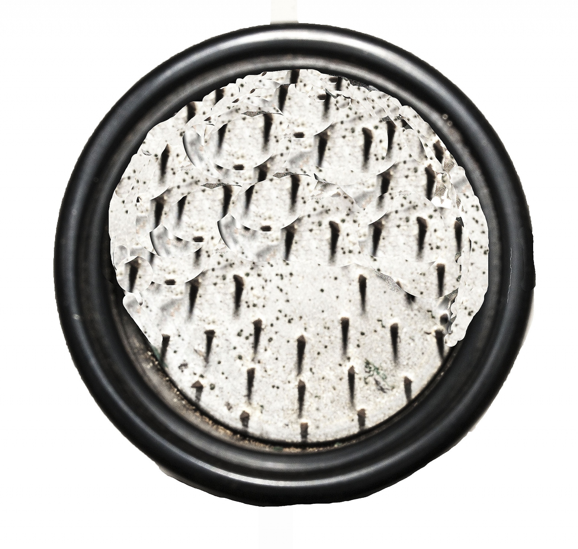 Magnified image for image #2