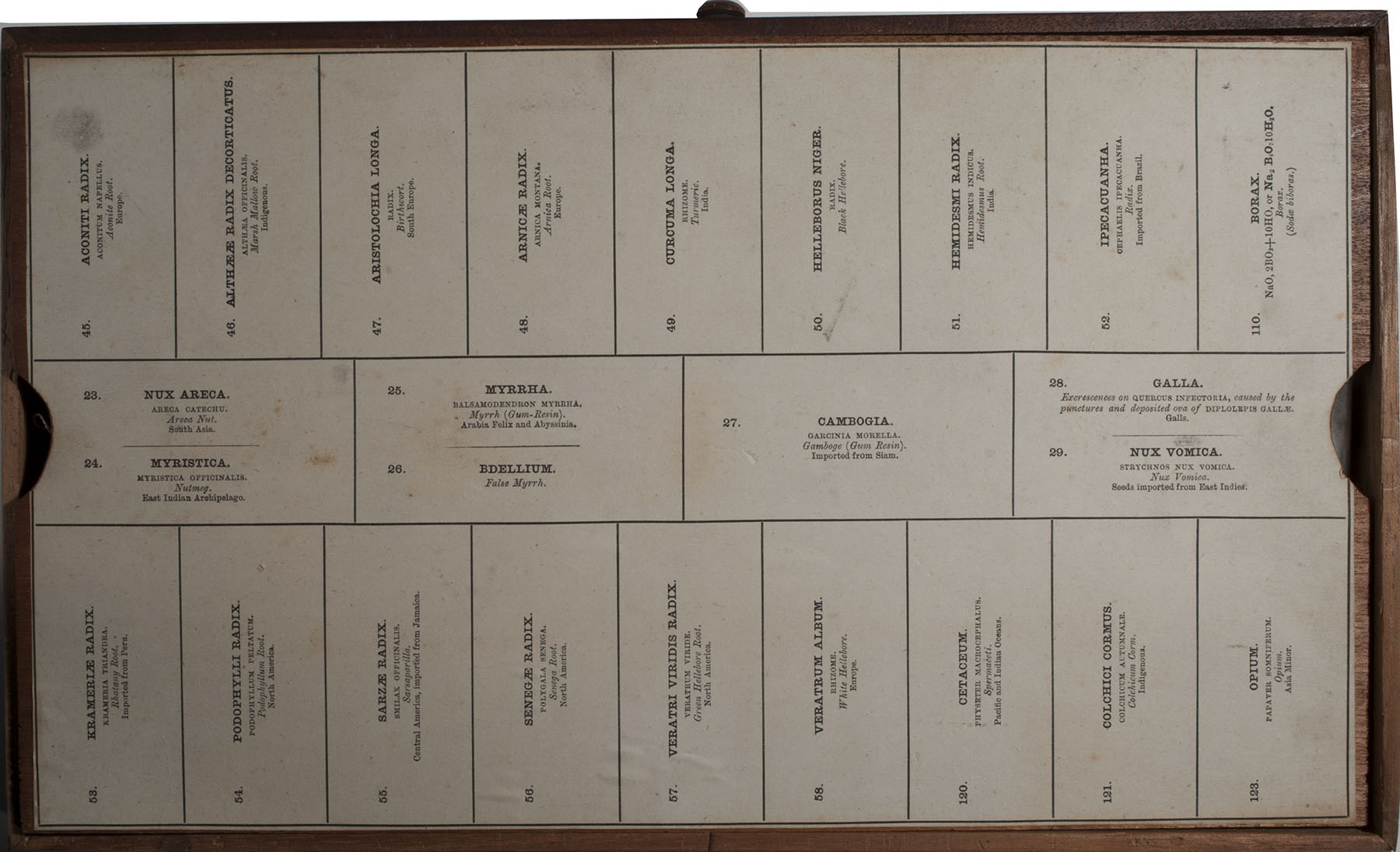 Magnified image for image #7