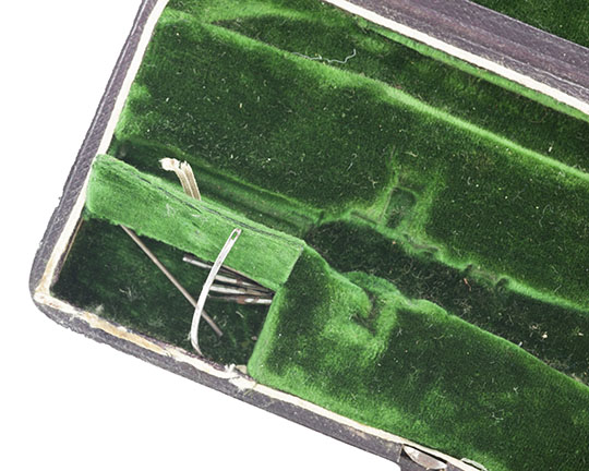 Magnified image for image #2