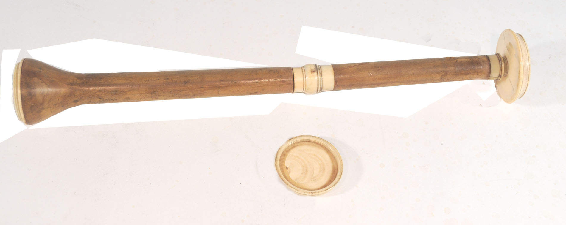 Magnified image for image #4