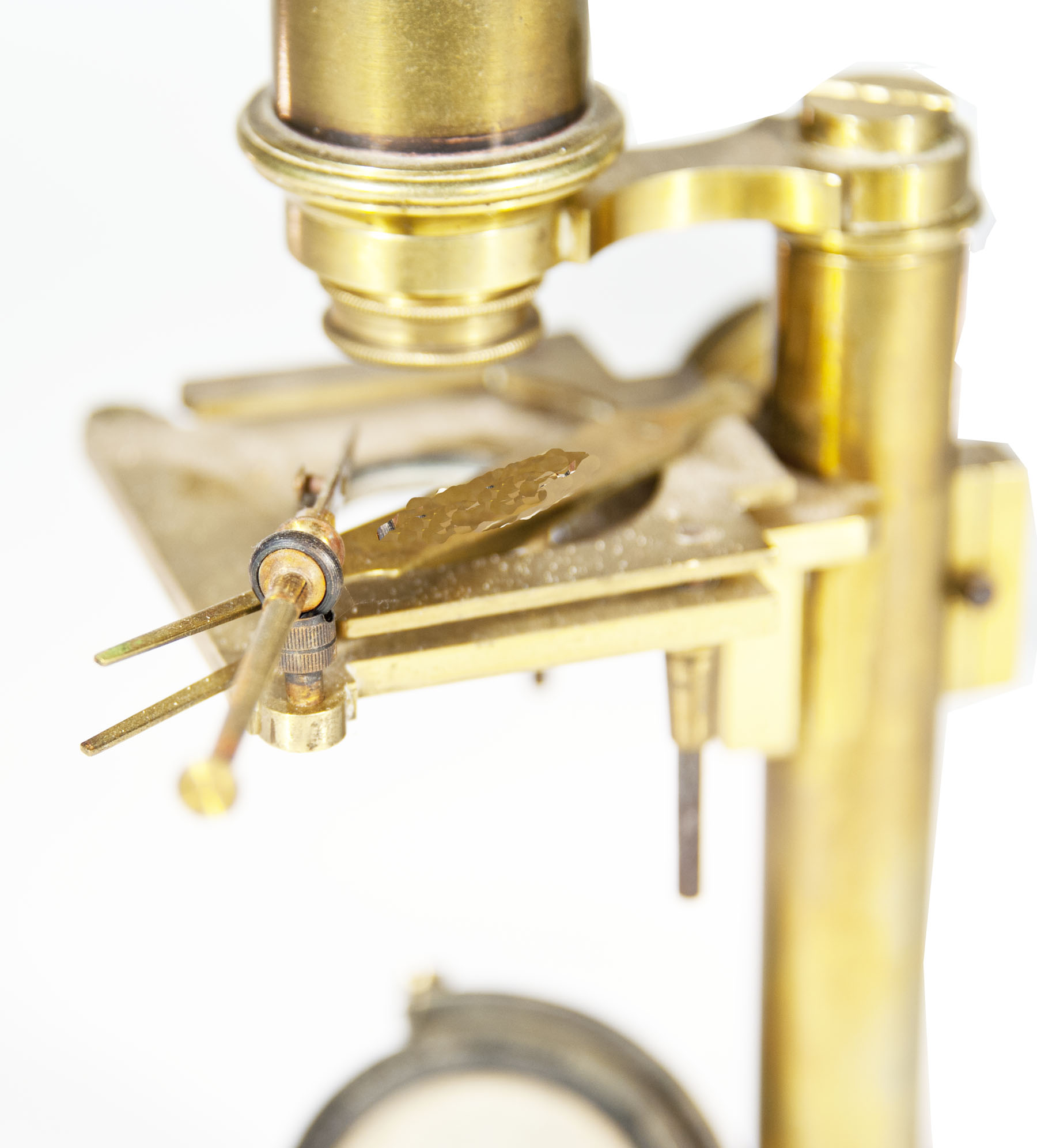 Magnified image for image #2