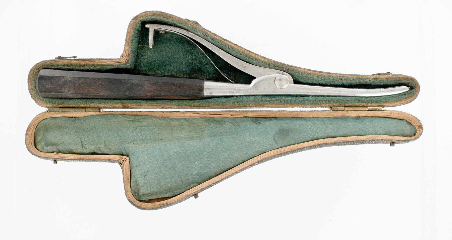 Magnified image for image #2