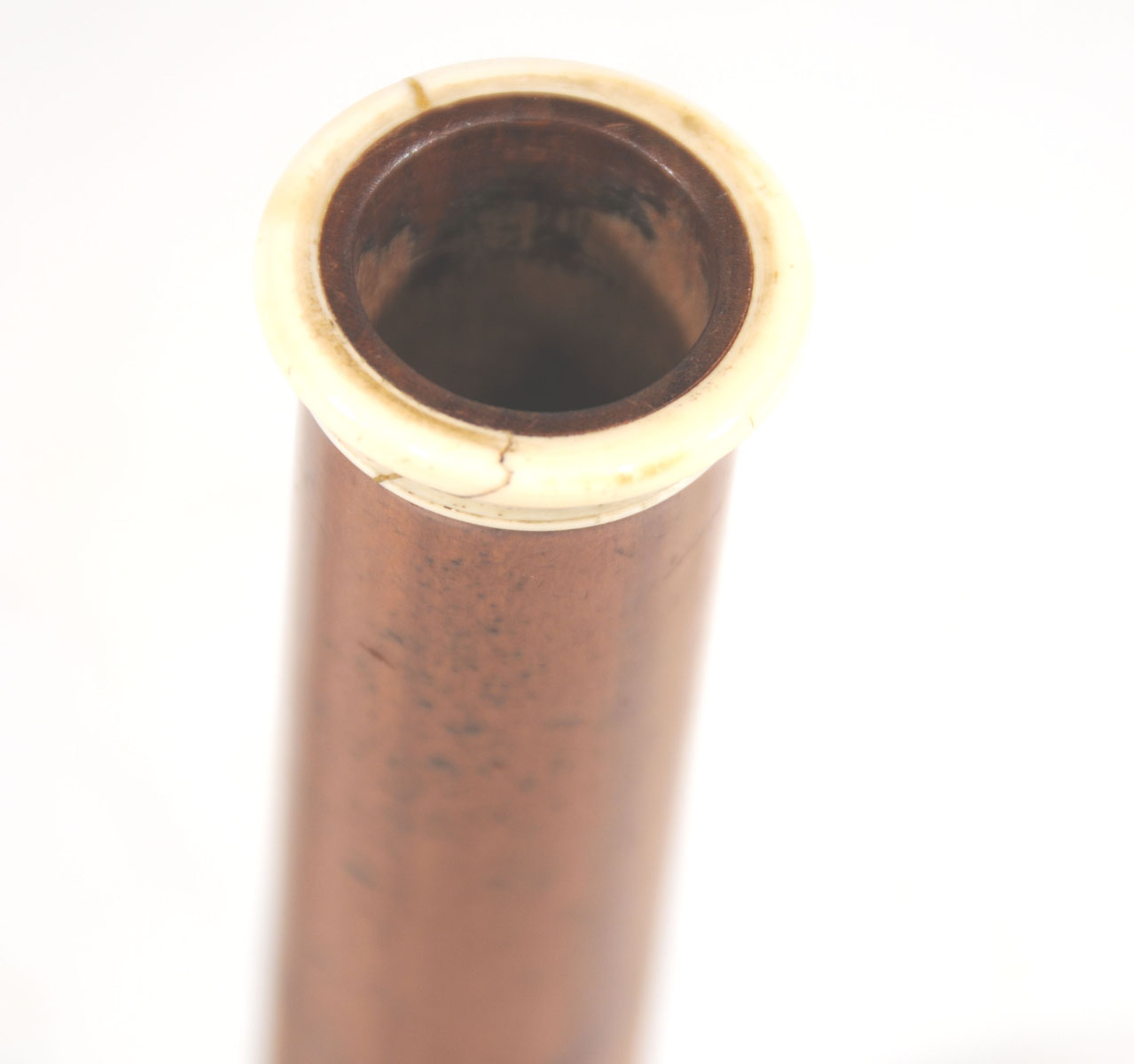 Magnified image for image #4