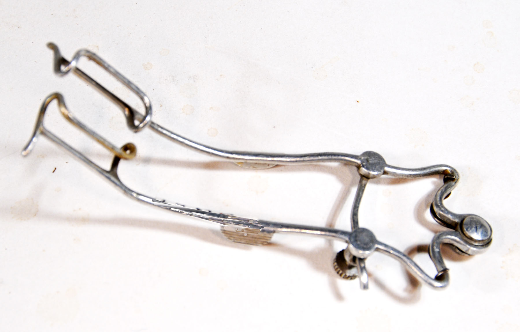 Magnified image for image #1