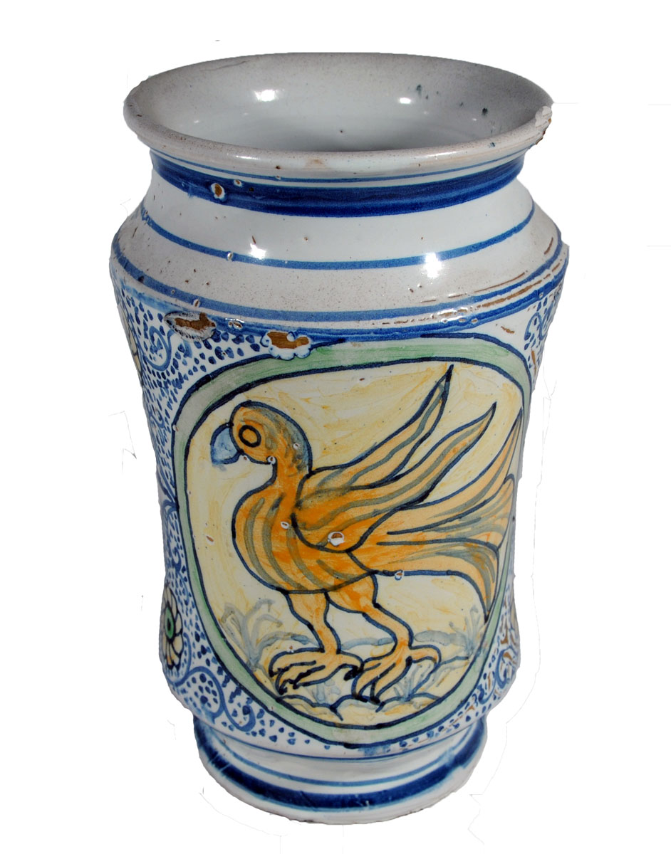 Magnified image for image #1