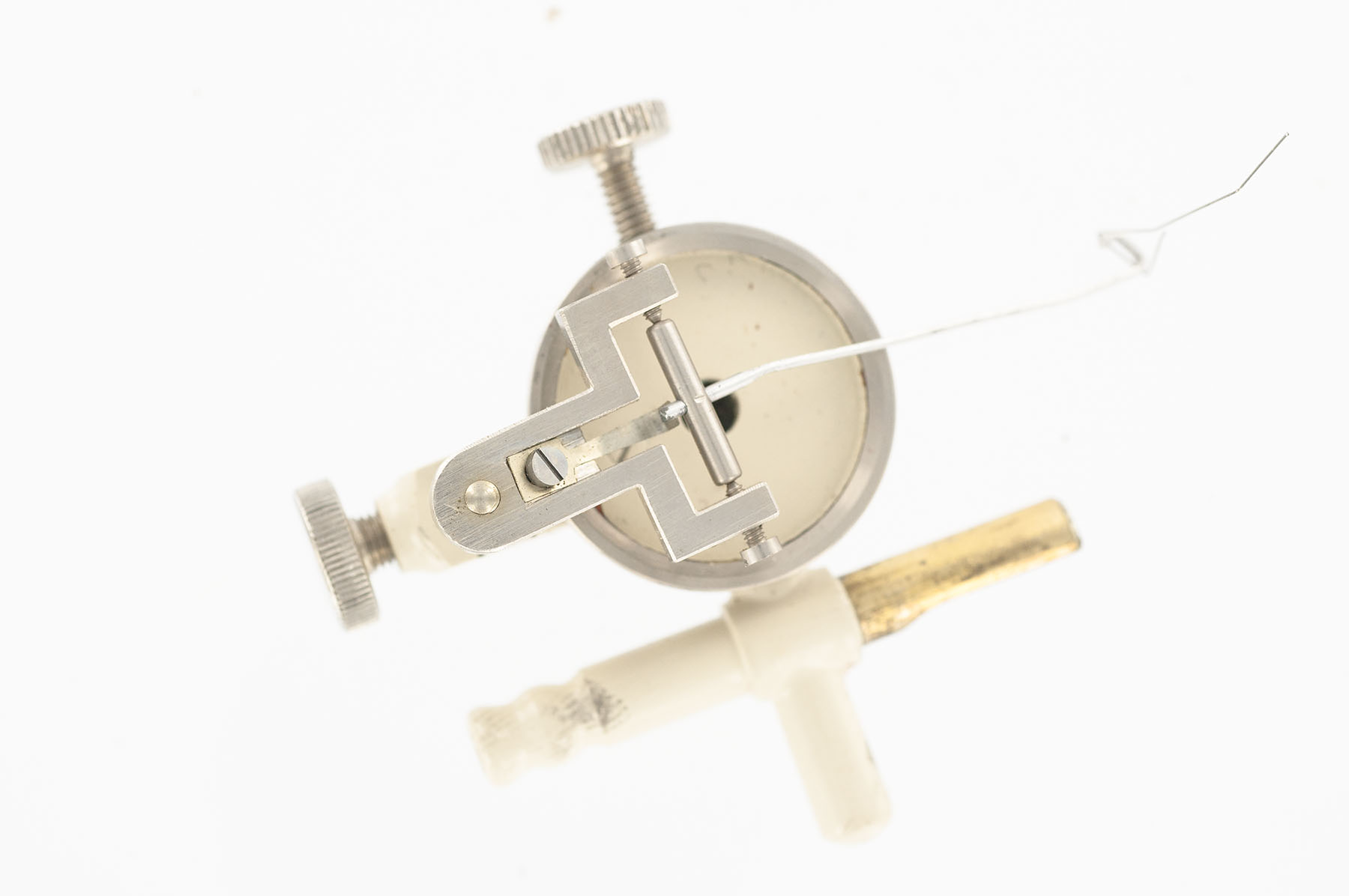 Magnified image for image #4