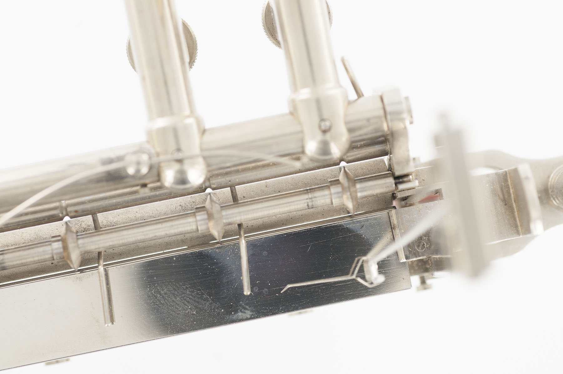 Magnified image for image #5