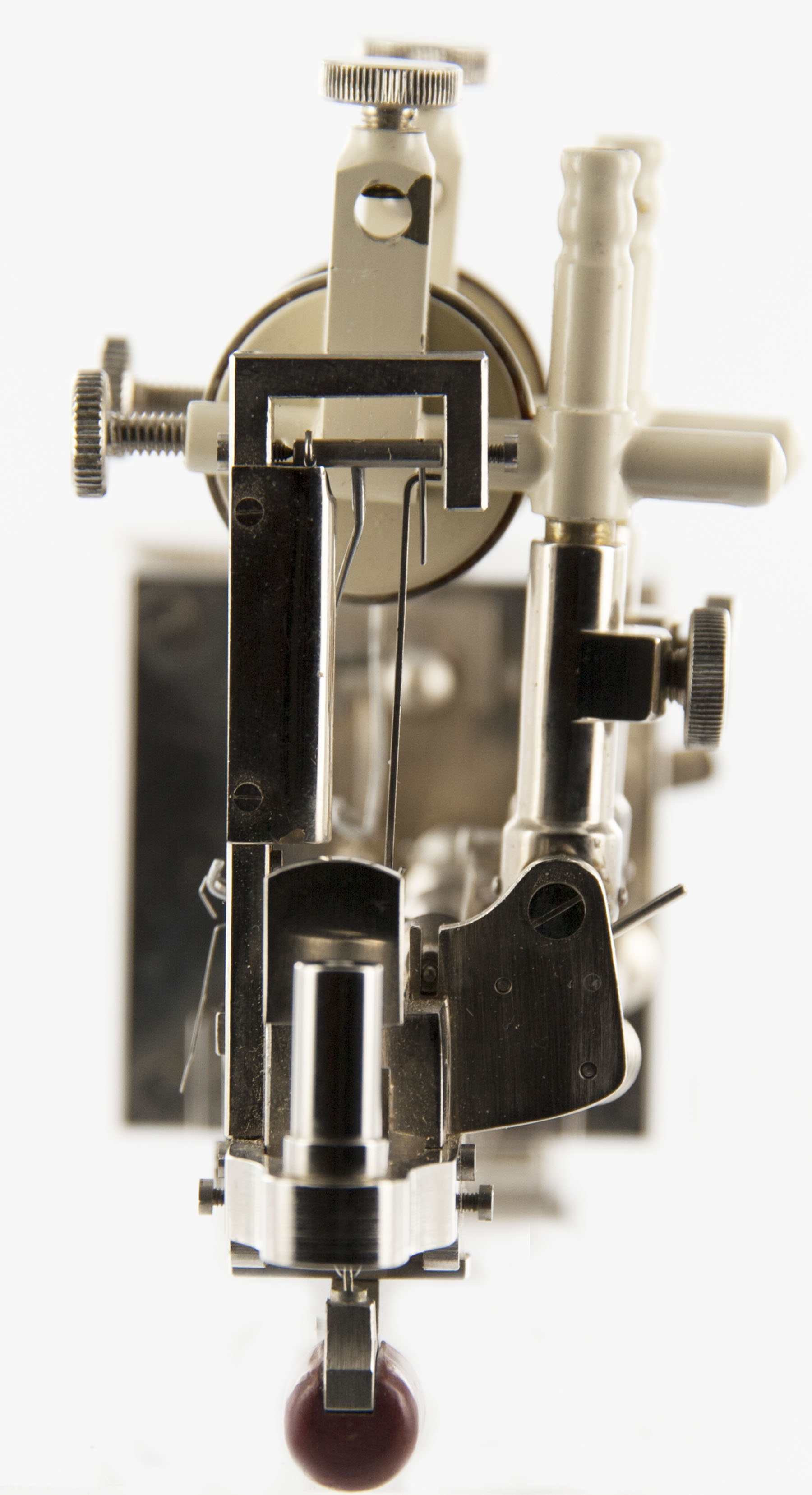 Magnified image for image #9