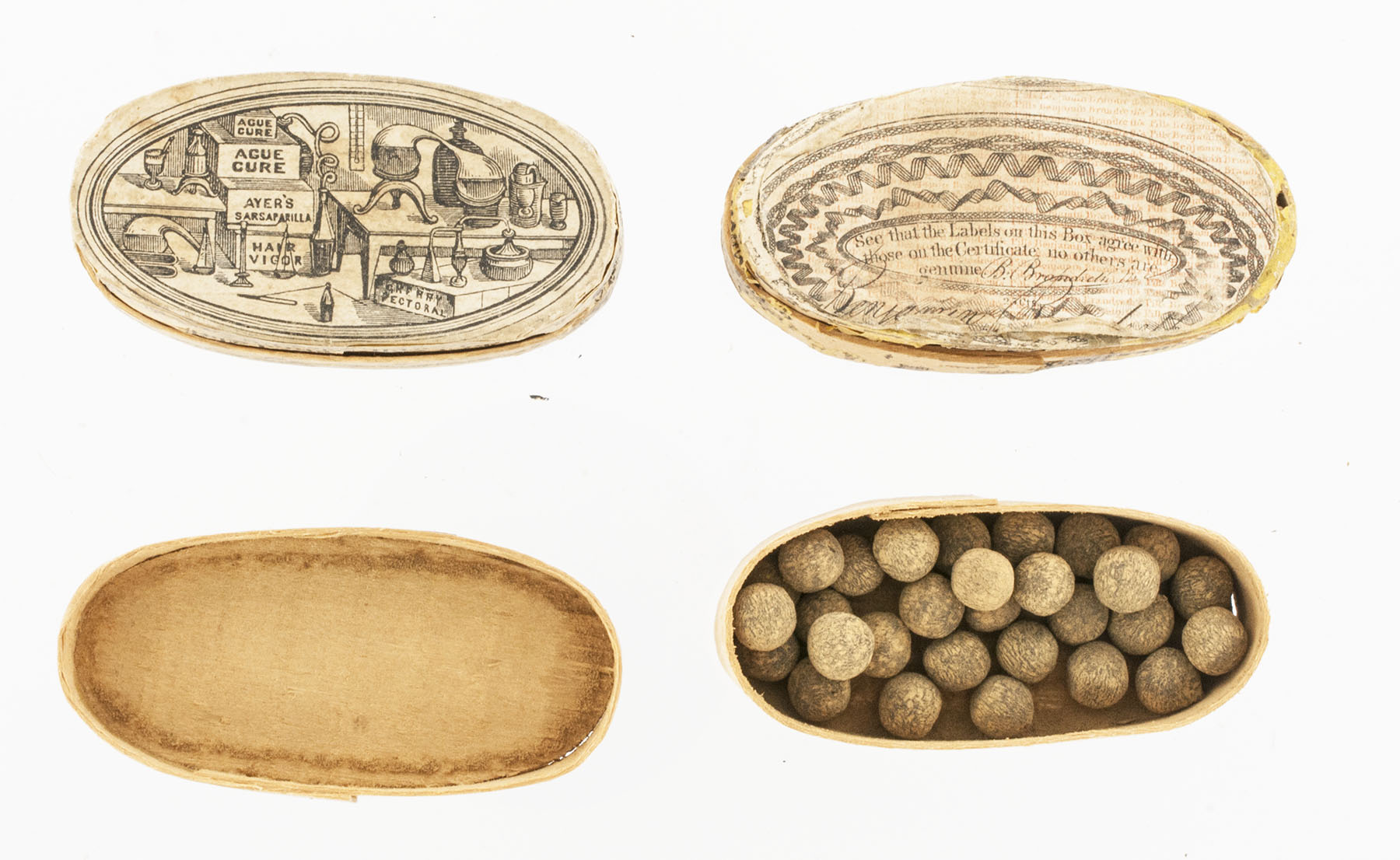 Magnified image for image #2