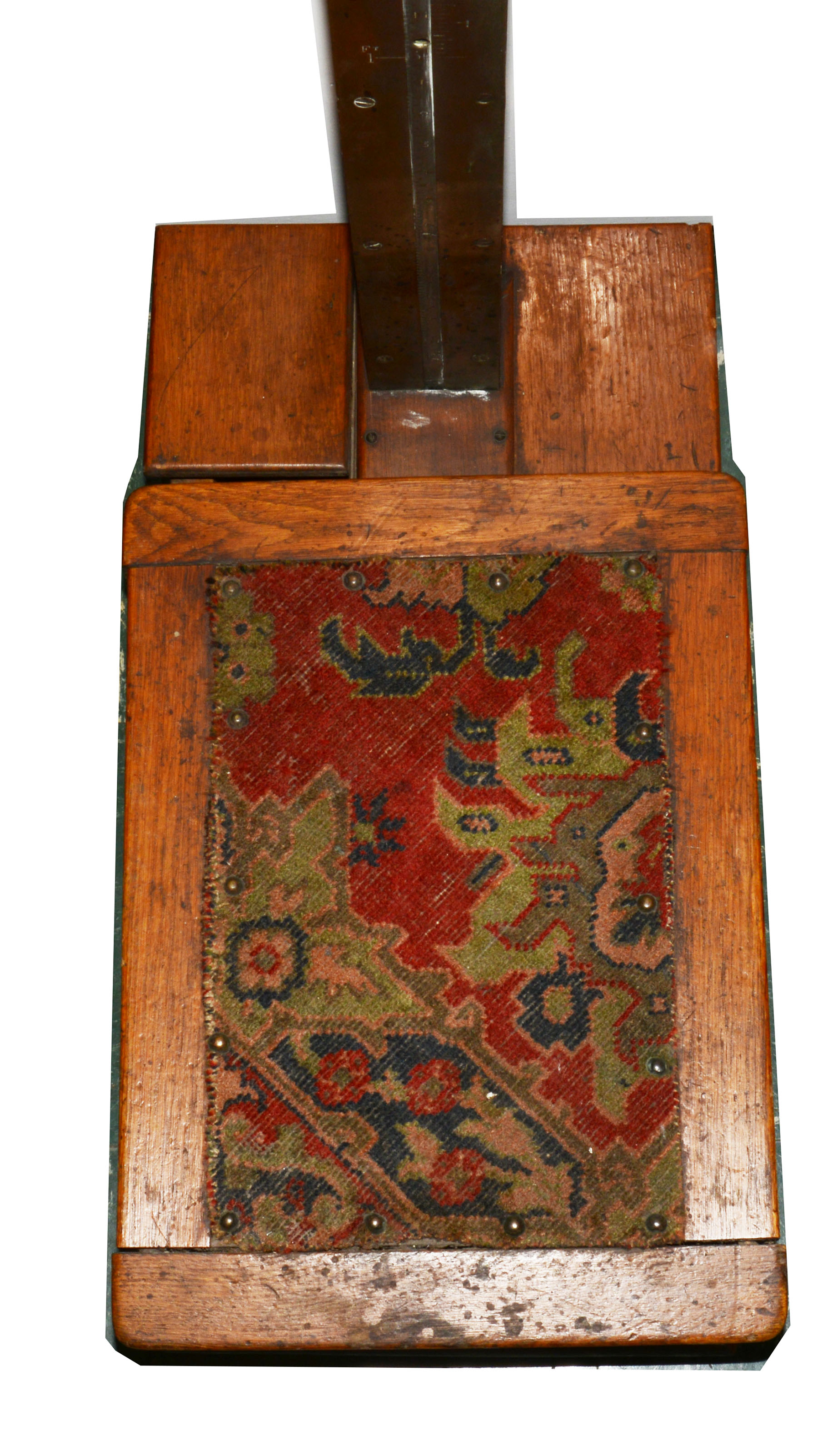 Magnified image for image #4