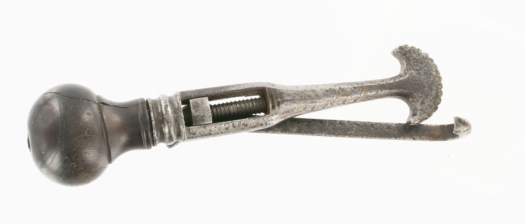 Magnified image for image #3