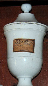 Magnified image for image #1