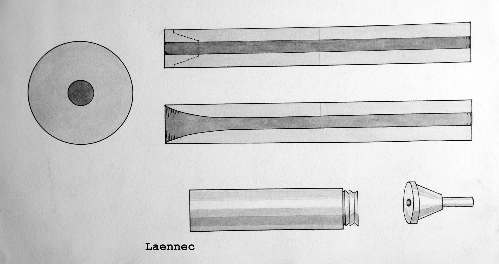 Magnified image for image #1