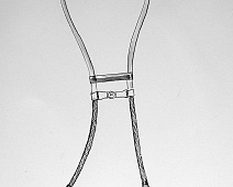 Photo of Allison’s Differential (stethoscope_drawing___mumie_008jpg)