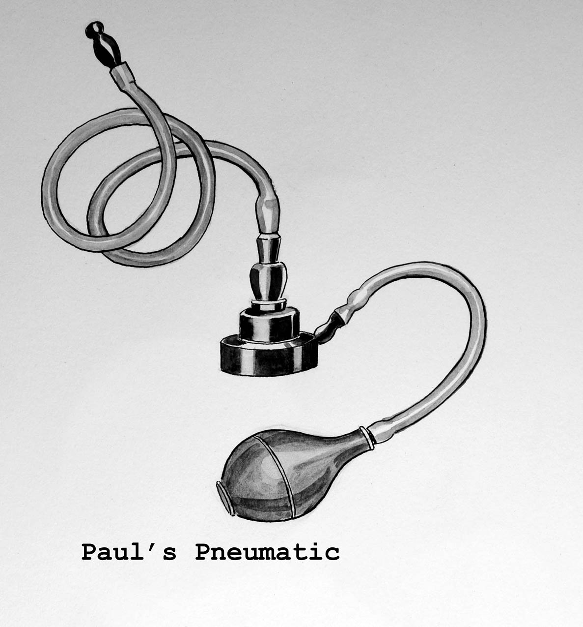 Magnified image for image #1