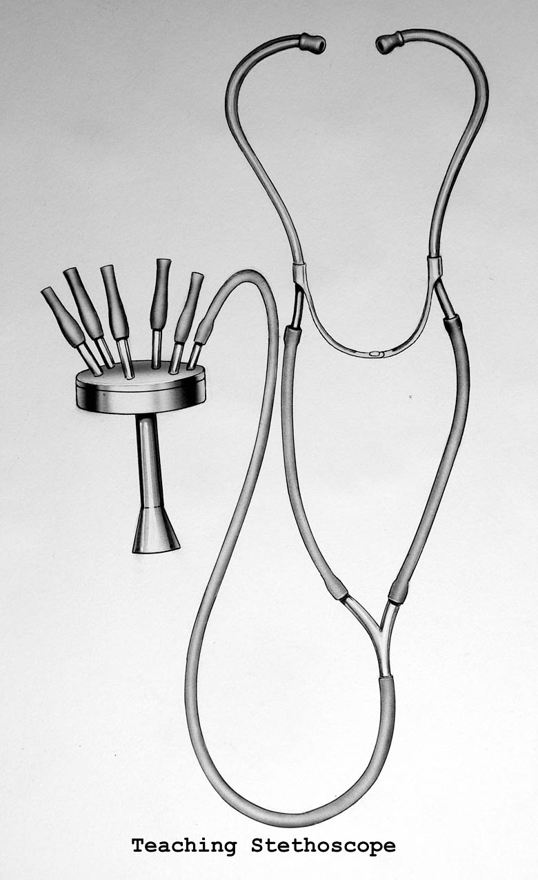 Magnified image for image #1