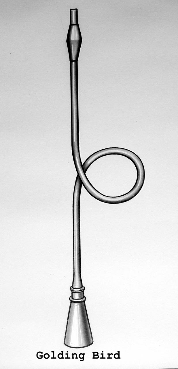 Magnified image for image #1