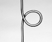 Photo of Golding Bird (stethoscope_drawing___mumie_037jpg)