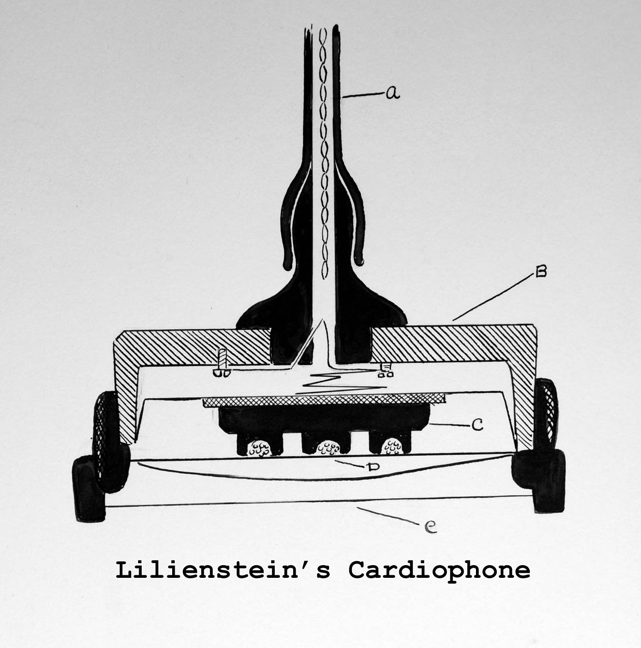 Magnified image for image #1
