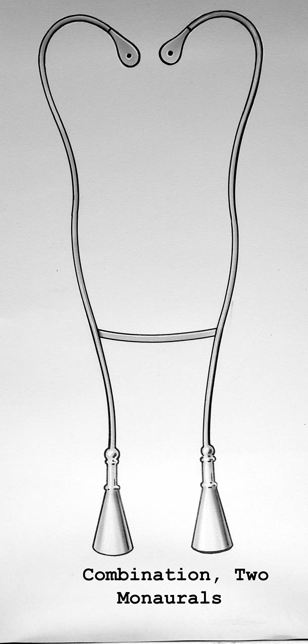 Magnified image for image #1