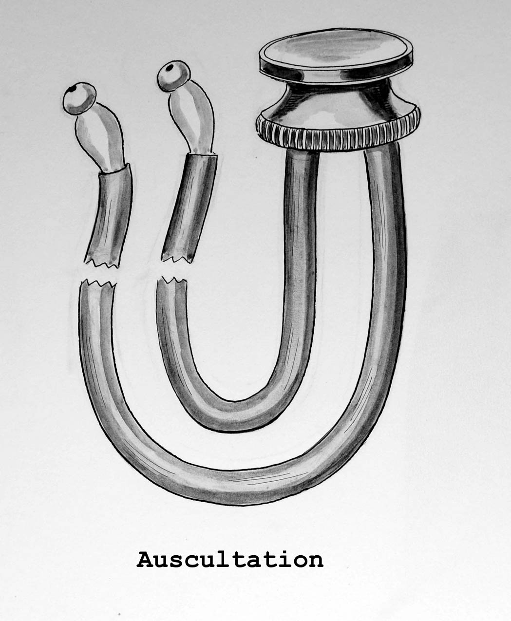 Magnified image for image #1